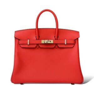 Hermes Birkin 25 Orange Field Swift PHW