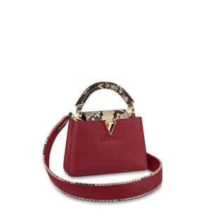 Louis Vuitton Burgundy Taurillon Leather and Python Mini Capucines Bag